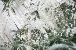 -上海浦东喜来登由由大酒店·宴会厅