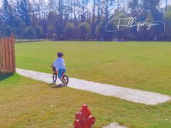 -前小桔亲子创意农场·草莓采摘·露营烧烤