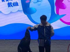-Mr·Kuma酷么先生雪之乐园