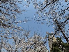 -西北湖绿化广场