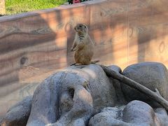 -森波拉奇妙世界