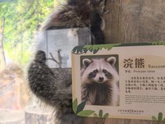 -大连圣亚海洋世界