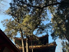 -丽江庭院·云南野生菌·海鲜火锅(鼓楼四合院店)