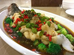 清雅轩饭店(滑翔路店)-清雅轩·清真菜·传统菜•融合菜(滑翔店)