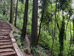 -青城山