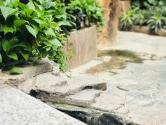 -嘉悦汗蒸时代(曙光路店)