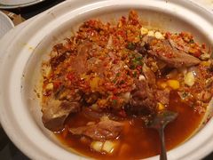 -三强鸽子(中原路店)