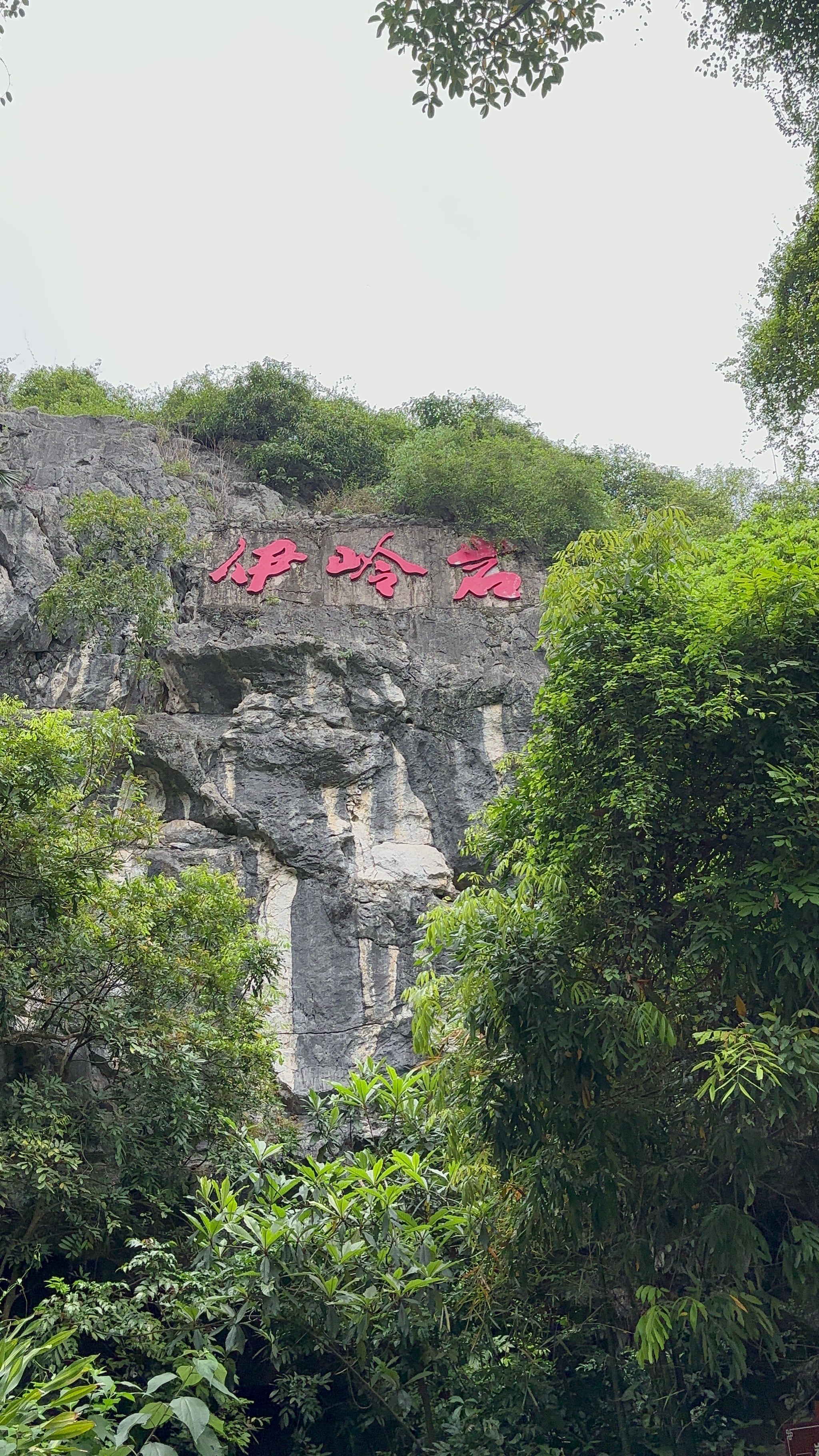 第二次"city乱走"终于离开了青秀区\n坐着115路bus来到武鸣伊岭岩\n