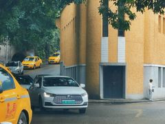 -李子坝梁山鸡(李子坝大鸡哥店)