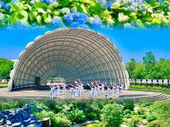 -上海吴淞炮台湾国家湿地公园
