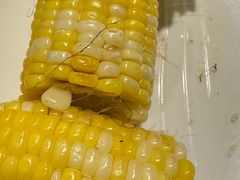 -真火候烧烤屋(金兰路店)