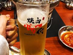 -大阪烧肉BAKA一代(十亩地店)