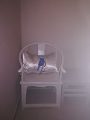 -奈瑞儿美颜美养SPA