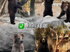 -灵玲国际马戏城