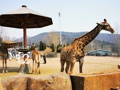 -大连森林动物园