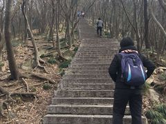 -紫金山山顶公园