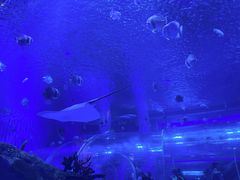 -石家庄极地海洋世界