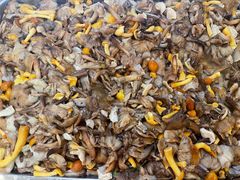 -粘豆包铁锅炖二部(温泉街店)