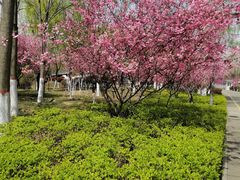 -城市运动公园(未央区)