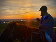 -额尔古纳黑山头绿野马帮骑马场