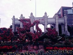 -中山大学学者灵芝(园南路店)
