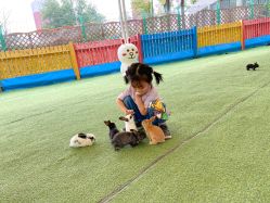-萌宠亲子动物乐园(槐房万达店)