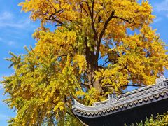 -惠山古镇·寄畅园