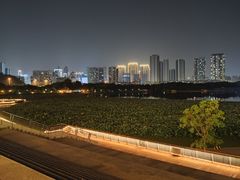 -月湖风景区