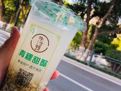 -德禄酸奶(莫家街店)