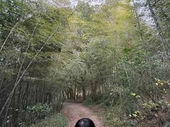 -杭州半山国家森林公园