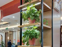 -金陵后厨·南京菜(新街口秣陵路店)