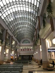 -上海交通大学医学院附属上海儿童医学中心(陆家嘴总院区)