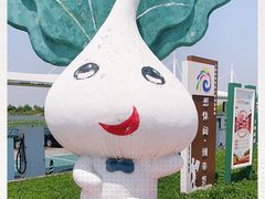-上海都市菜园