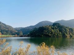 -广州市石门国家森林公园
