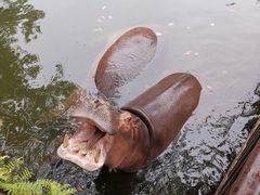 -海南热带野生动植物园