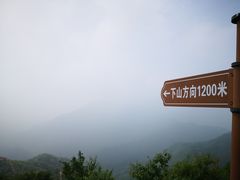 -大岭沟猕猴桃谷风景区