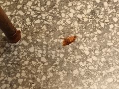-贰拾捌味·宜宾燃面(春熙路旗舰店)