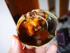 -黄记大闸蟹专卖店·活蟹·醉蟹