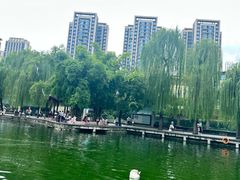 -成都动物园