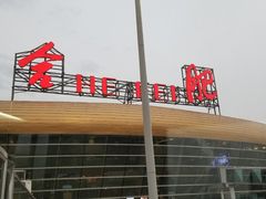 -合肥新桥国际机场-航站楼