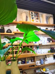 -今日陶艺(富力广场店)