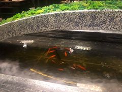 大堂-湊湊火锅·茶憩(石家庄万象城店)