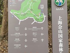 -上海佘山国家森林公园天马山园