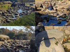 -白塘生态植物园