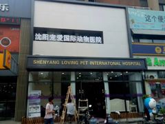 -宠爱国际动物医院· 猫科· 外科·中兽医(长白店)