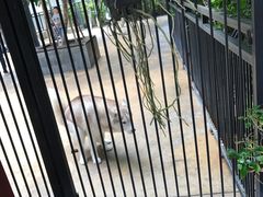 -TrueLove @ Neverland (Husky Cafe)