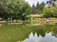 -庐山风景区花径公园