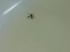 -享口福饺子馆(民旺园店)