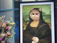 -喵屿·大理花园猫咖