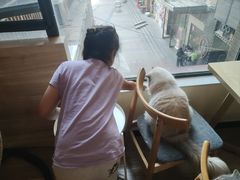 -滚猫咖啡·猫咖·猫友好撸猫(未来城店)